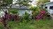 Garden.jpg