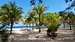 Palm shore.jpg